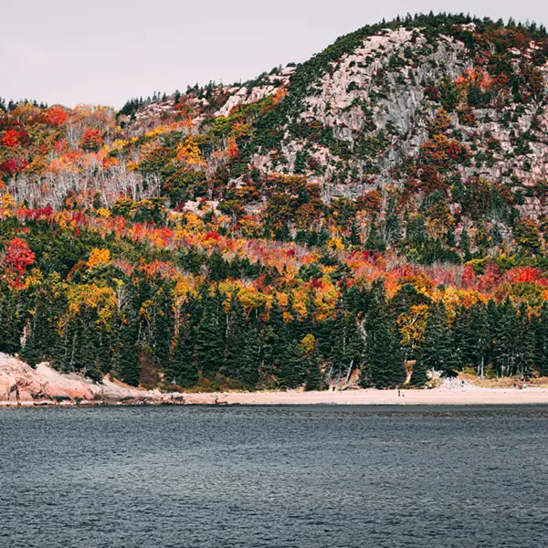 ロジスティクス